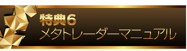 ���z���T�ԋ��ۏ� - �֖�T�ǂ́y�g�����h�n���^�[FX�z